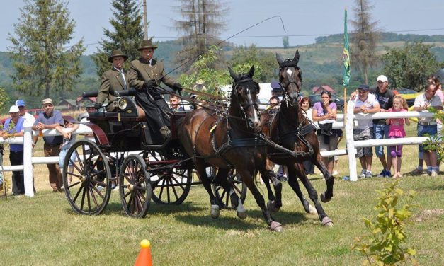 Iată când va avea loc la Herghelia Beclean Campionatul Naţional de Atelaje cu doi cai și ce probe vor fi în zilele de concurs